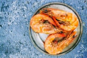 Shrimp meal is one of the very highest quality proteins in Koi food